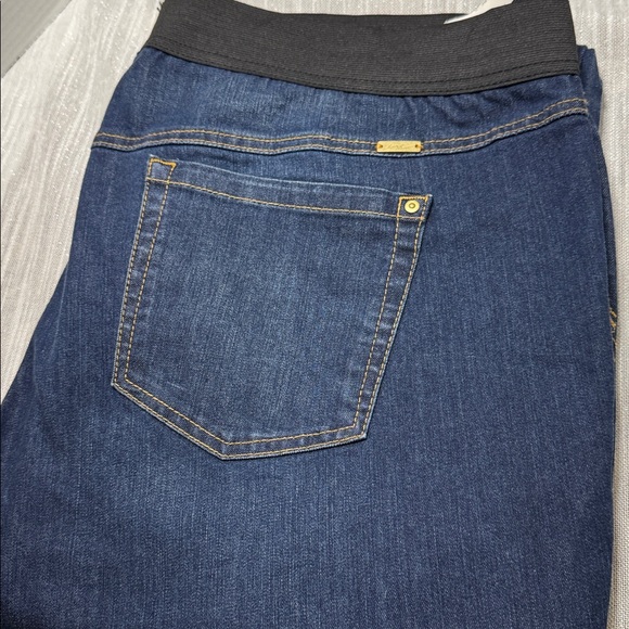 INC Denim Jeans women’s stretch waistband 5 pockets size 24W - Picture 1 of 11